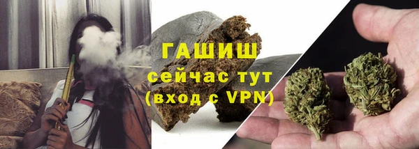 ПСИЛОЦИБИНОВЫЕ ГРИБЫ Михайлов