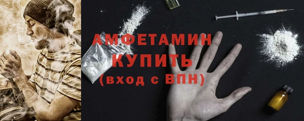 ПСИЛОЦИБИНОВЫЕ ГРИБЫ Михайлов