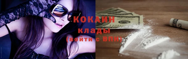 ПСИЛОЦИБИНОВЫЕ ГРИБЫ Михайлов