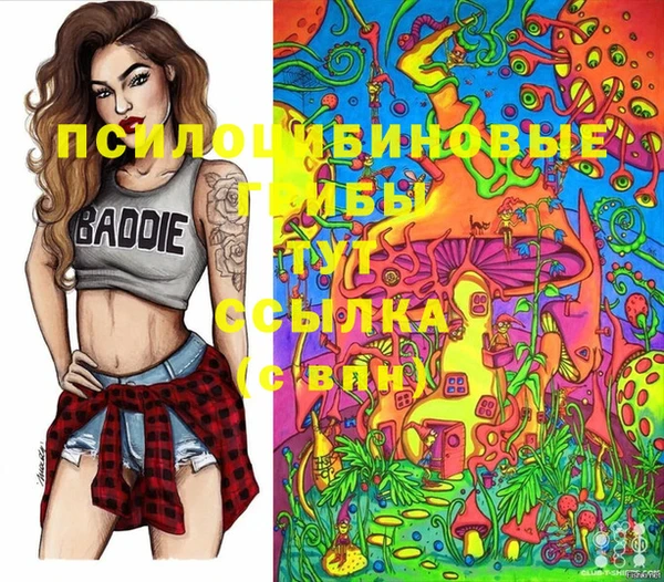 мдпв Медвежьегорск