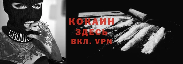 ПСИЛОЦИБИНОВЫЕ ГРИБЫ Михайлов