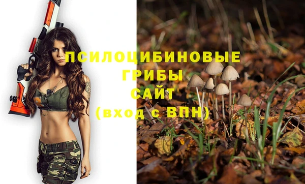 ПСИЛОЦИБИНОВЫЕ ГРИБЫ Михайлов