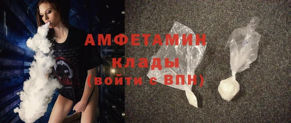 ПСИЛОЦИБИНОВЫЕ ГРИБЫ Михайлов