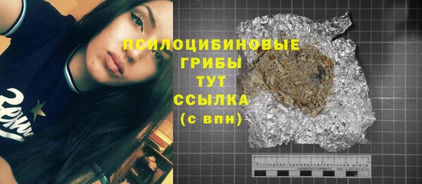 ПСИЛОЦИБИНОВЫЕ ГРИБЫ Михайлов