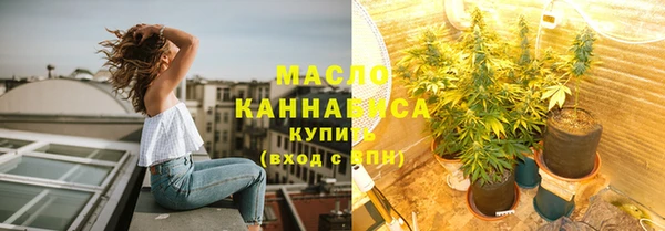 ПСИЛОЦИБИНОВЫЕ ГРИБЫ Михайлов